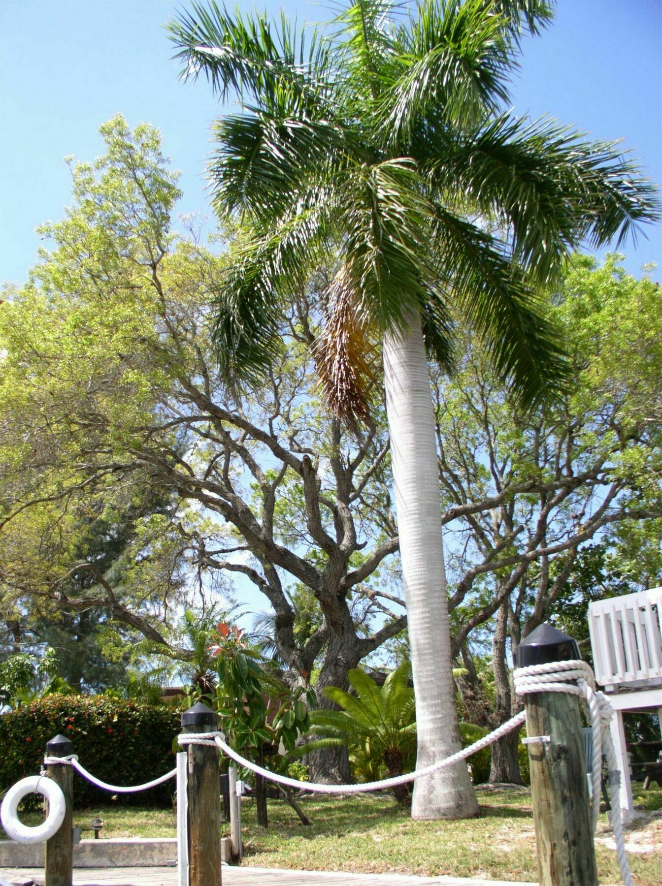 Hidden Harbor Suites Fort Myers Beach Zewnętrze zdjęcie